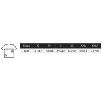 Dámské tričko Pioneer - Grey melange 3XL